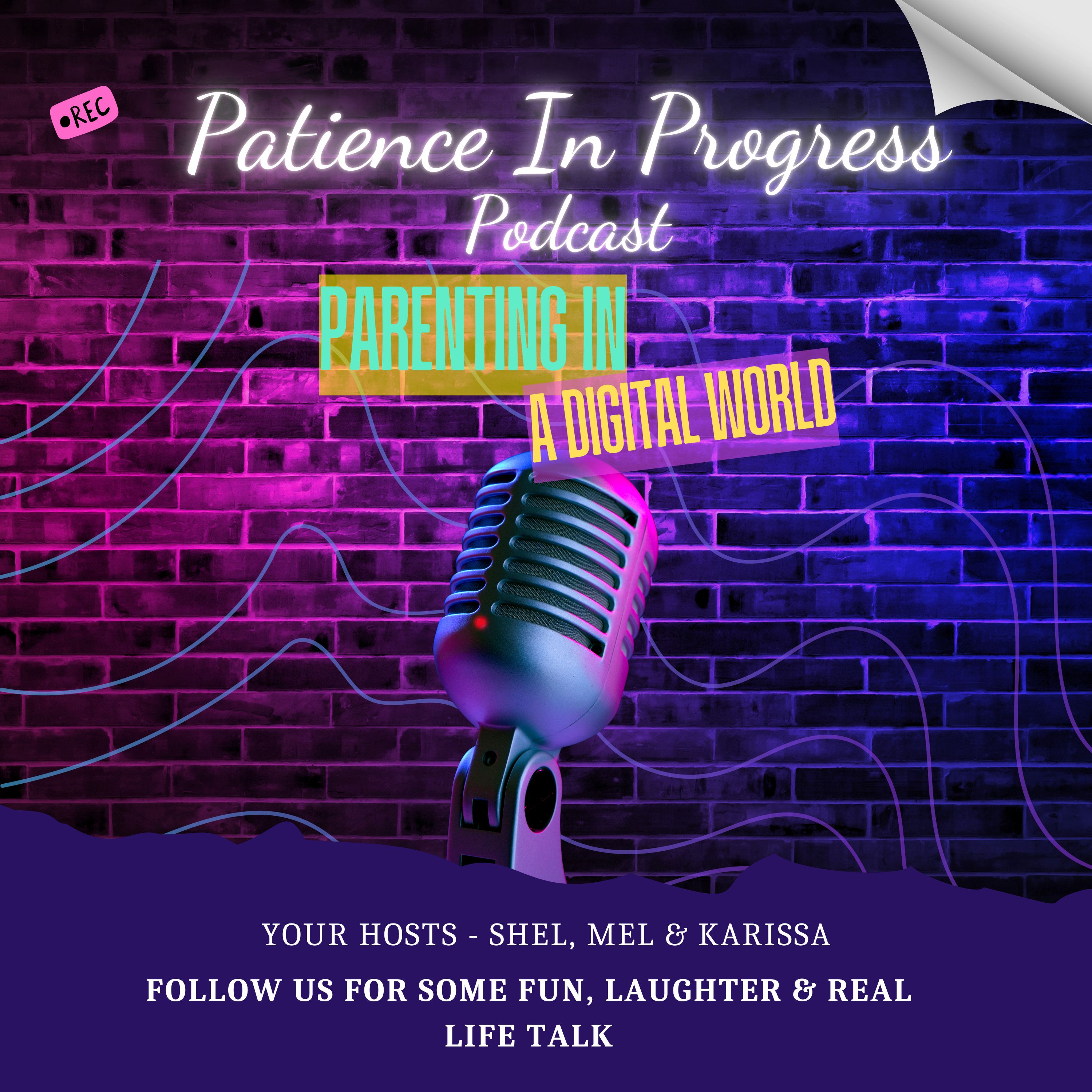 Artwork for Patience in Progress