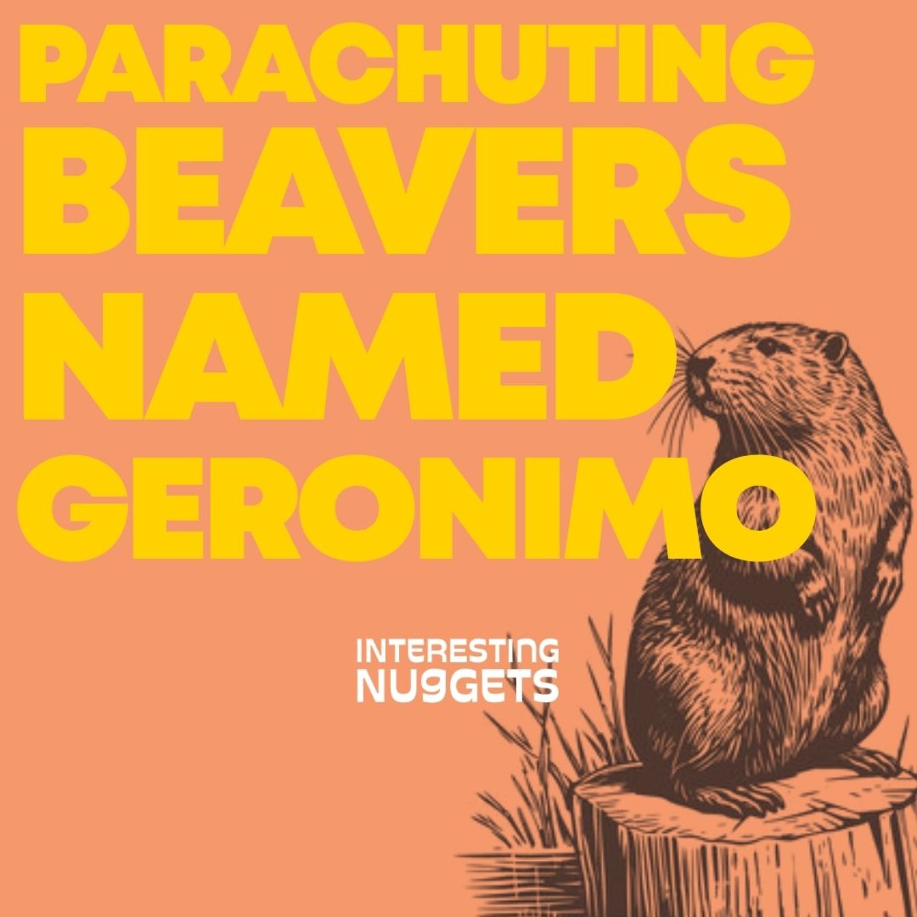 Parachuting Beavers Named Geronimo episode artwork