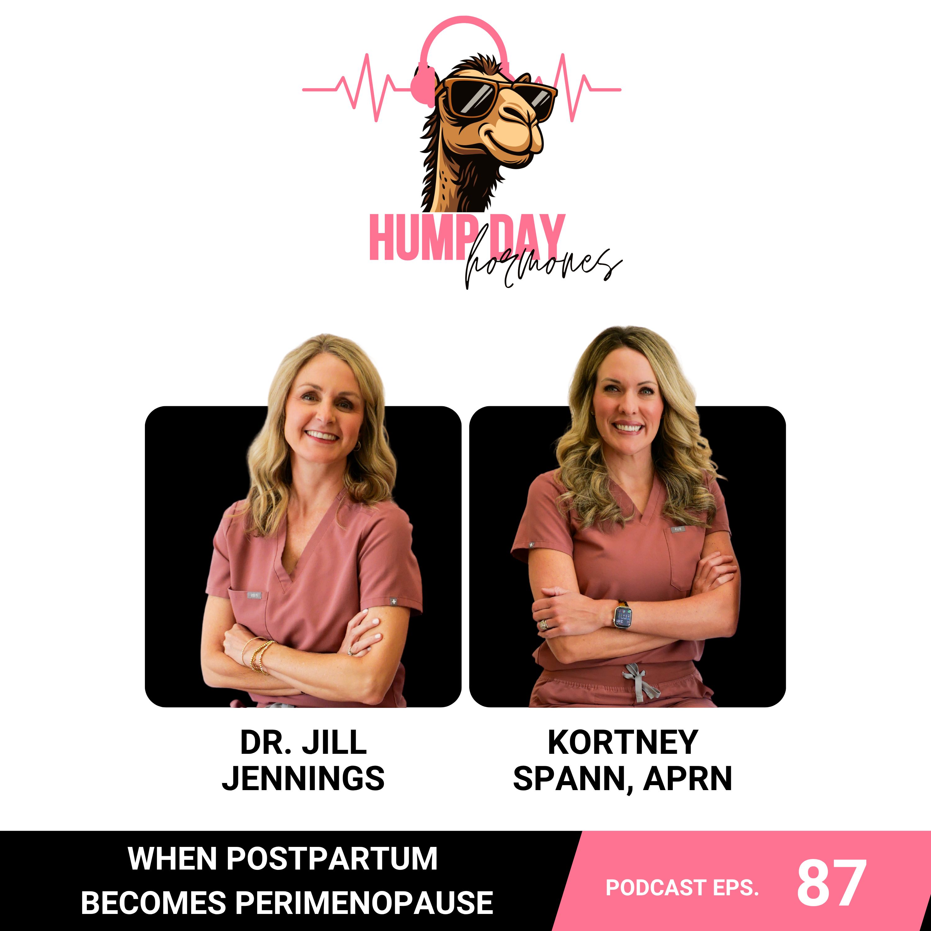 When Postpartum Becomes Perimenopause episode artwork