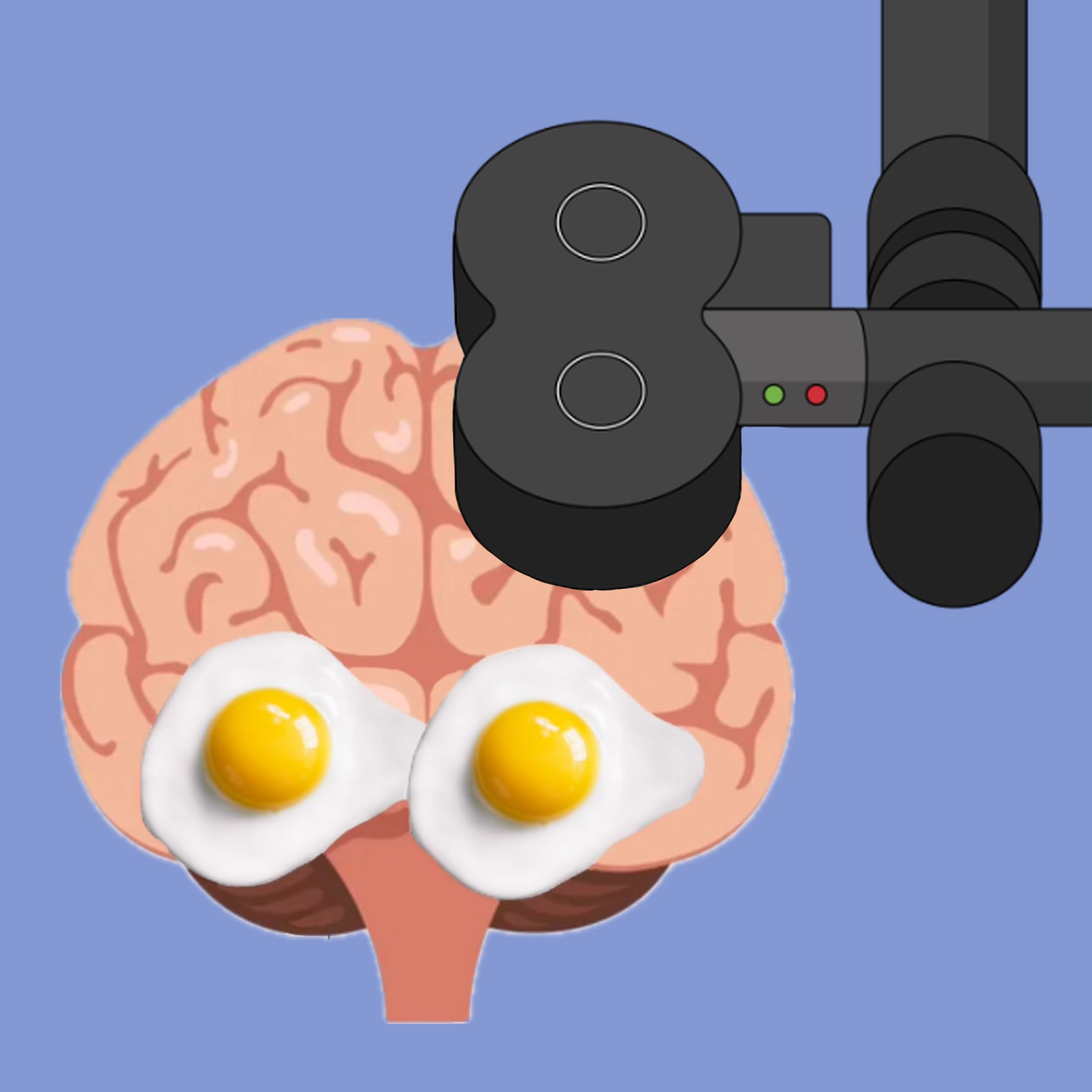 E51: Procedures: Bright Light Therapy, Vagal Nerve Stimulation, Transcranial Magnetic Stimulation, Cranial Electrotherapy Stimulators