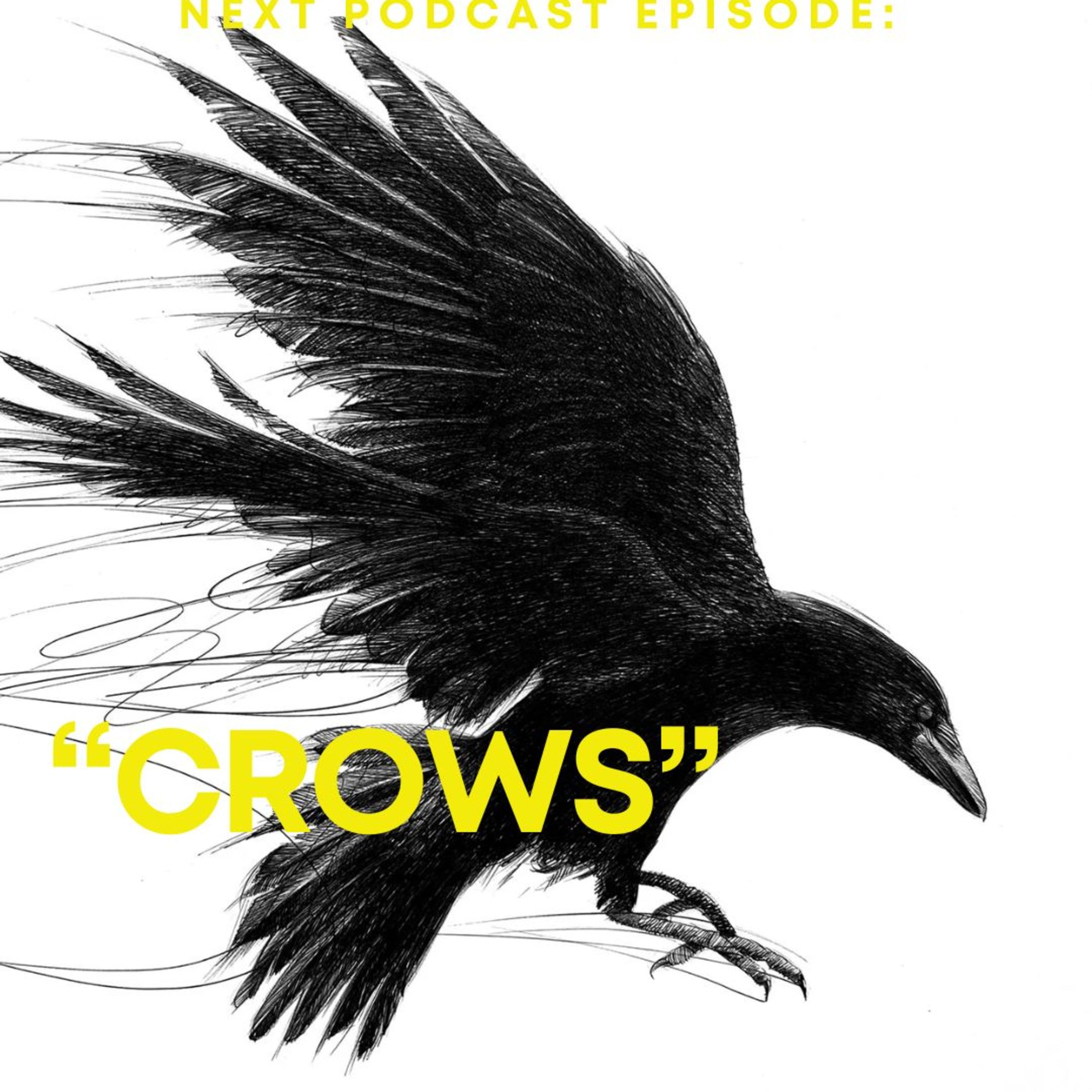 Crows episode artwork