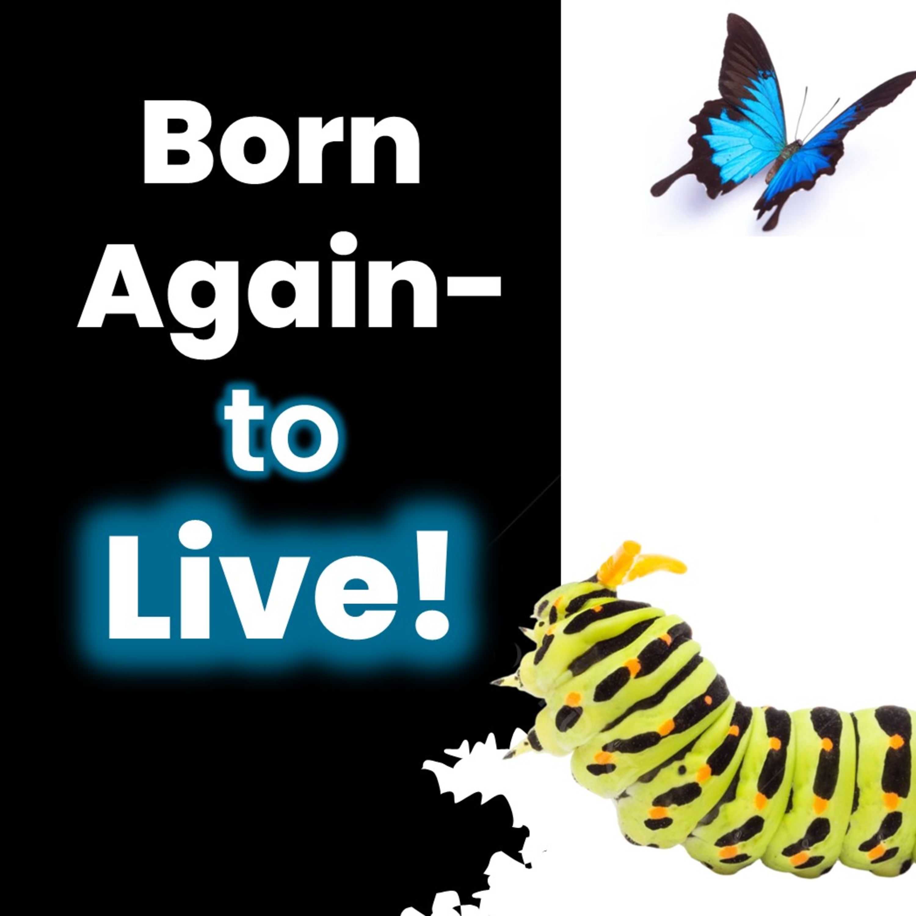 Born Again; To live!