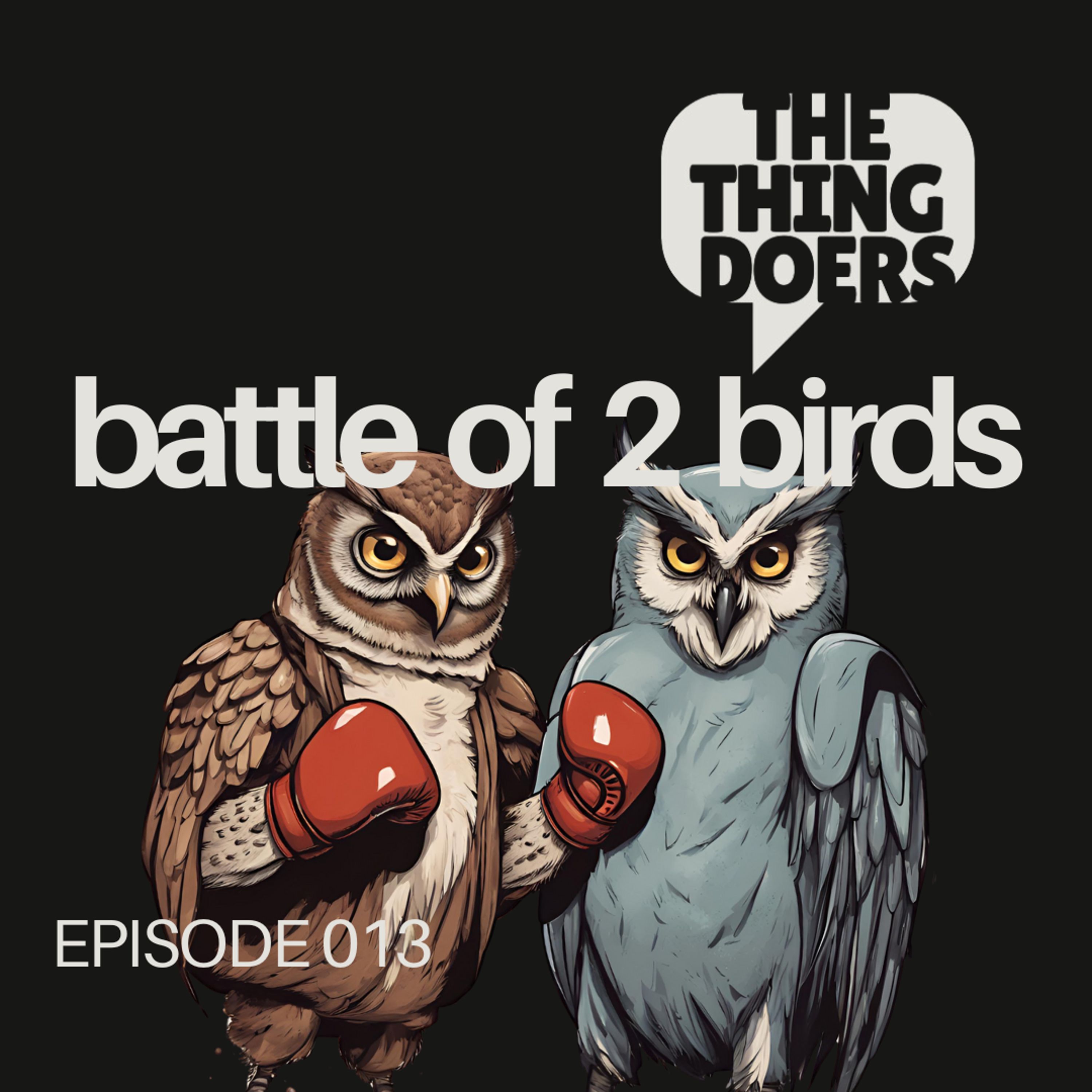 Battle of 2 Birds