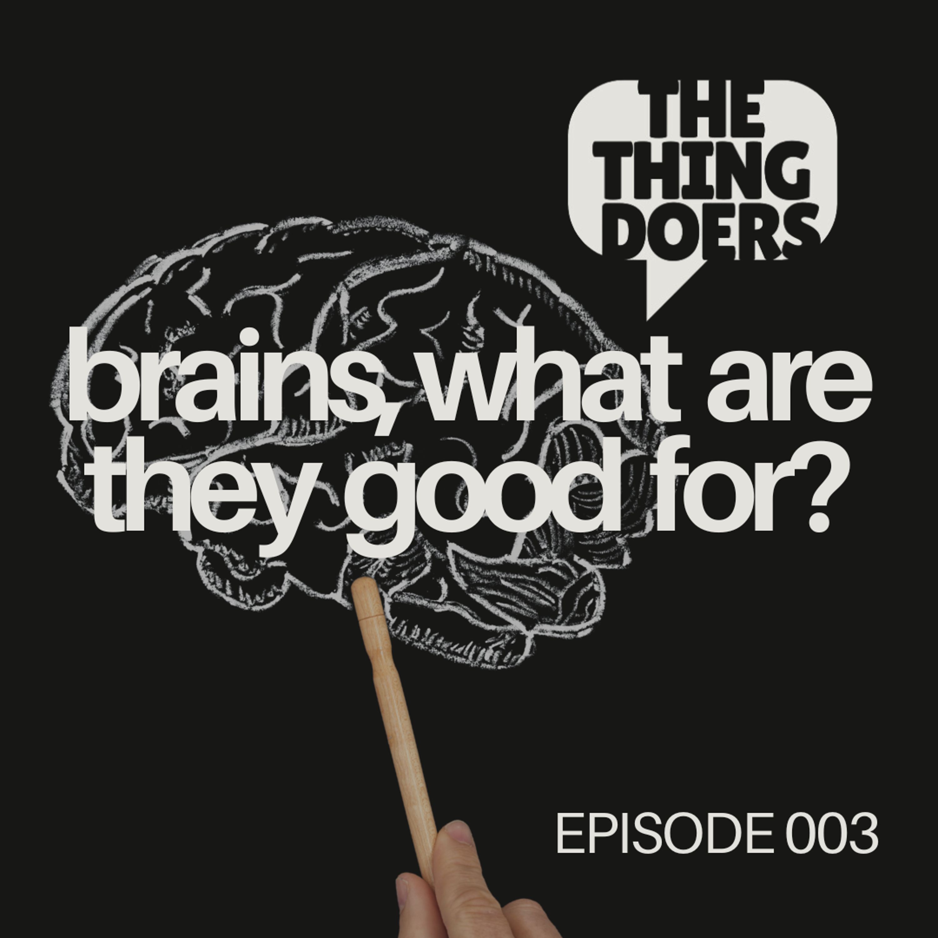 Brains, What are they good for?